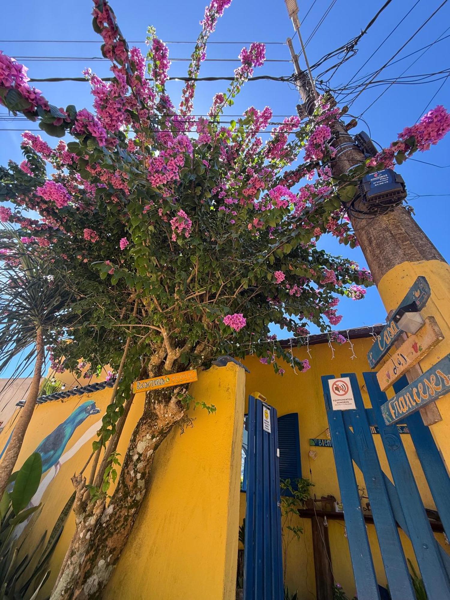 Casa Dos Franceses Guesthouse Ilha Grande Ngoại thất bức ảnh